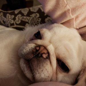 Meet your Posher, Judith